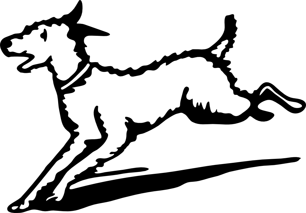 acre dog graphic