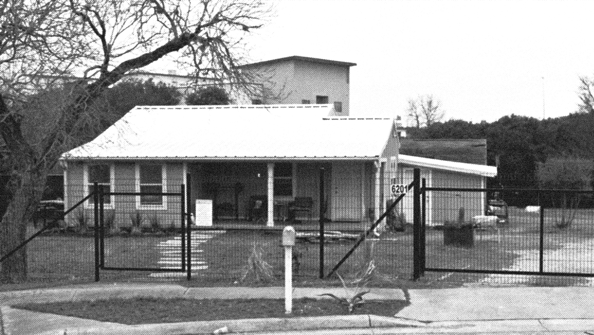 the acre dog boarding facility