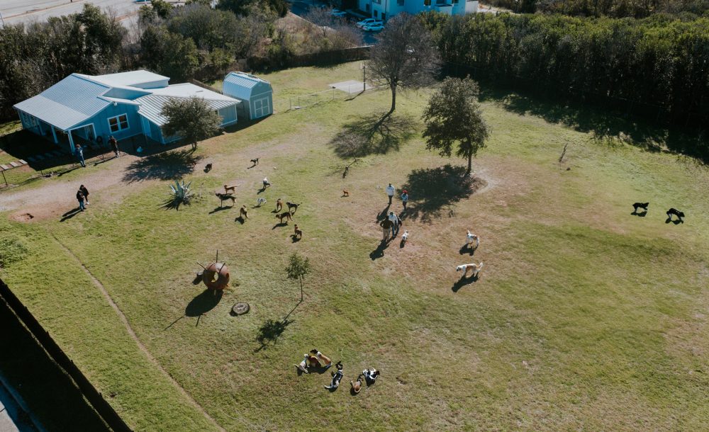 the acre doggy daycare grounds